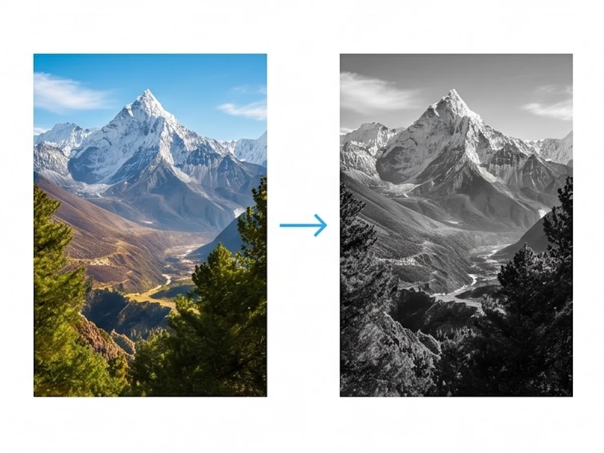 A color photo and its black and white filter result side by side